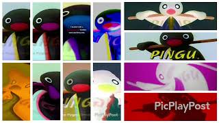 12 Pingu Outros