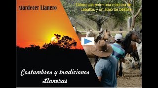 Diferencia entre un atajo de bestia y una madrina de caballos