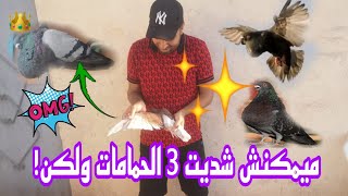 ميمكنش شديت 3 الحمامات 🤯 ولكن ! تبعو الفيديو حتى الأخير باش تشوفو كولشي🙏