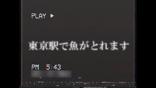 【謎の映像・CM】東京駅で魚がとれます【政府広報】