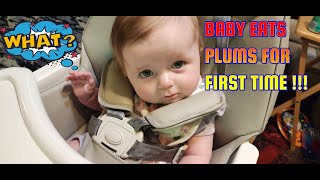 HOW TO LET BABY ,EATS PLUMS FOR FIRST TIME😘🤣❤️