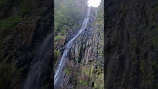 100m high Risco waterfall on the Rabacal trail Maderia