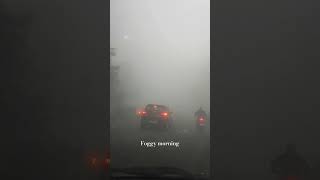 Foggy morning #viral #ytshorts #trending #viralshort #foggymorning #driving #long drive