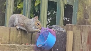 Breakfast 🌰🥜Śniadanie