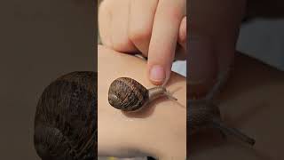 Mi #niño jugando con un #caracol que encontró en un #parque.