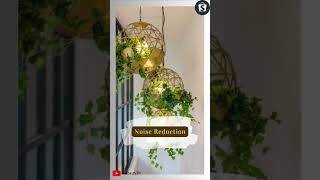 Benefits Of Indoor Plant Decor 🌲☘ #homedecor #vastu #shortsindia