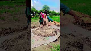 MAKAI KA RATE ACHA MILY GA UMEED BHND LI HA#foryou #viralvideo #agriculuture