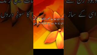 woman's day #shorts #youtubeshorts #Allama iqbal