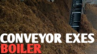 Conveyor exes boiler