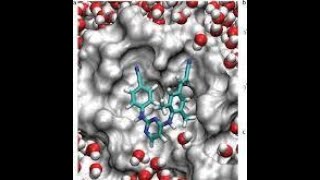 #Protein Selection forDocking#PROTEIN MODELLING#PEPTIDE MODELLING#ACTIVE SITE PREDICTION#BINDINGSITE