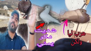 شديت دكر واعر 😍 وهرب ليا دكر بيض ولكن ؟😡 ونتوة لي حصلات فيها البيضة برات الحمد لله