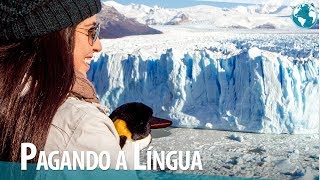 PERITO MORENO, A PEDRA GIGANTE DE GELO 😄⎮ EL CALAFATE ⎮ T1・EP48