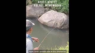 Mancing Dipinggir Lebih Gacorr / Fishing Along the River More Ferocious #Shorts