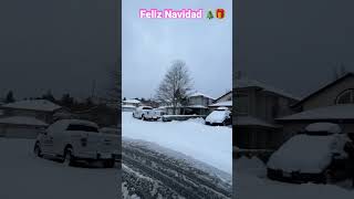 Fuerte nevada en Vancouver, Canadá / snowing in Canadá