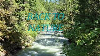 Back to the Nature