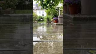 Rain Falling in Slow Motion #rain #slowmotion #relax