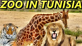 TUNISIAN ZOO FRIGUIA PARK 2019 🇹🇳