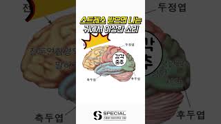 귀에서 나는 삐소리의 원인 #shorts