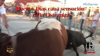 Buenos días causas sensación en La Cisterniga