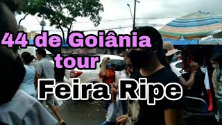 Como é a Quarenta e quatro, e a feira Ripe de Goiânia. Mundo da Lara 33