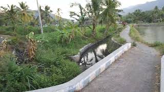 Waduk di Desa Klabang Agung Tegalampel