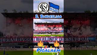 Hertha BSC Pyro in Elversberg #pyro #pyroalarm #herthaberlin