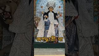 Jagadhatri Pujo 2024 / জগদ্ধাত্রী পুজো / #travel #shorts #jagadhatripuja