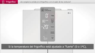 Soporte LG España - Congelación en el cajón de verduras del Frigorífico LG