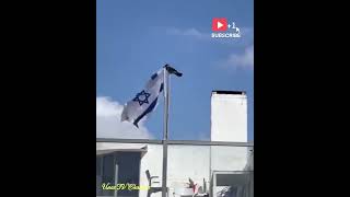 Burung gagak ini ,knp menurunkan bendera Israel ? knp..? #realitytv #traveling #viralvideo #gontor