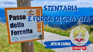 MTB CARNIA: STENTARIA E MALGHE DI SAURIS 🚴🏻‍♀️🤪