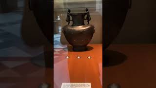 Museum Collections Display 02 #shortvideo