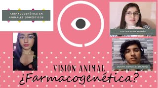 Podcast “Farmacogenética en animales domésticos” | Team Bears