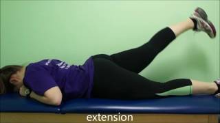 lower extremity single leg raise SLR 4 way