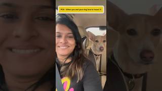 When 2 different kinda people travel ! #divyatravelogue #doglover #dogvideos  #tatanano #dogvideo