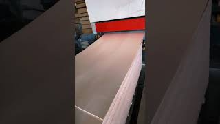 Sanding plywood machine #plywoodmachinery #woodworking #plywood