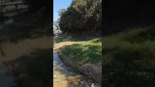 DJI Avata 2 FPV Drone FLIES DOWN CREEK in Epic Flight!