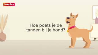 Hoe gebruik ik Beaphar Tandpasta bij mijn hond?