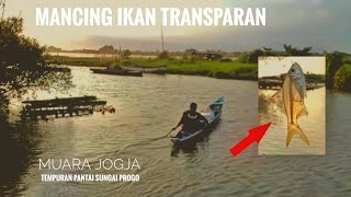 mancing di muara part 2 || muara jogja #10