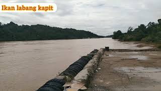 Dibenarkan memancing air Pasang besar di hulu dan keroh.