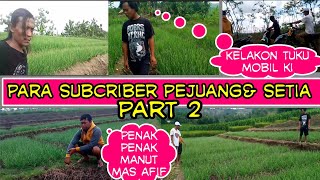 perjalanan mengontrol tanaman bawang merah punya saudara subcriber part 2