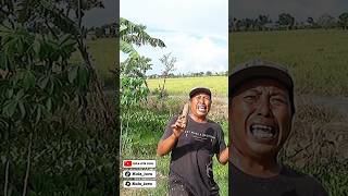 Singkong #fypシ゚viral #lucu #ngakak #banjarlucu #funny