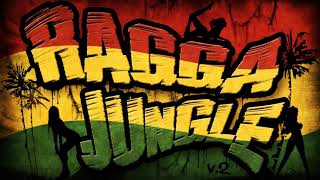 RAGGA JUNGLE   Drum n Bass Mix v 2