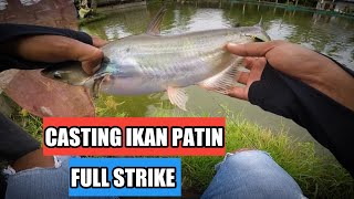 CASTING IKAN PATIN