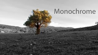 Monochrome (GH2 Short Film)