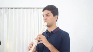 For a better day - Avicii - Recorder Cover - Heythereabaadi