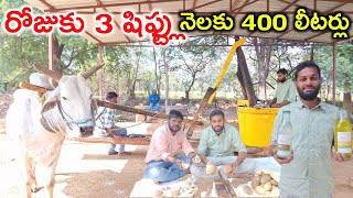 ఎద్దు గానుగ నూనె యూనిట్ surabhi agriculture farm @MalleshAdla