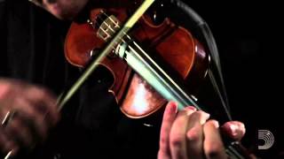 D'Addario: Jazz Violinist Ben Holder on Pro•Arté Strings