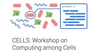 How To Train Your Microbe For Rosewood Sensing? (iGEM Team Évry Paris-Saclay 2020)