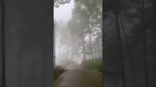 Puncak Bogor di selimuti kabut tebal