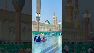 مسجدِ نبوی کا خوب صورت منظر ماشاء اللہ #مسجدنبوی #masjidnabawi #madina #youtubeshorts #islamicvideo